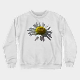 Daisy Crewneck Sweatshirt